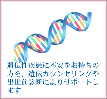 遺伝性疾患に不安をお持ちの方を、遺伝カウンセリングや出世前診断によりサポートします